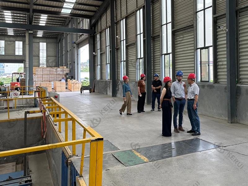 KERUI Technical Team and Italian Customers